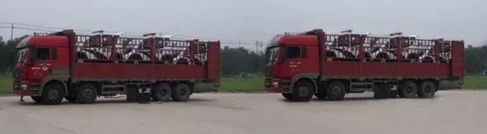躍迪移動(dòng)城管執(zhí)法站、躍迪電動(dòng)巡邏車大批量發(fā)往首都北京——有躍迪，才安心
