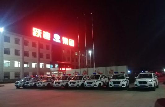 護(hù)航兩會，躍迪在行動|躍迪電動警用巡邏車海南執(zhí)勤，助力和諧兩會