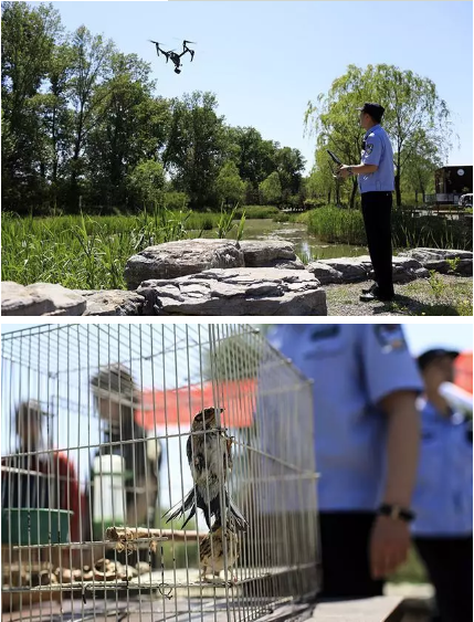 保護候鳥|躍迪移動警務(wù)室——北京首個濕地移動森林警務(wù)執(zhí)法站
